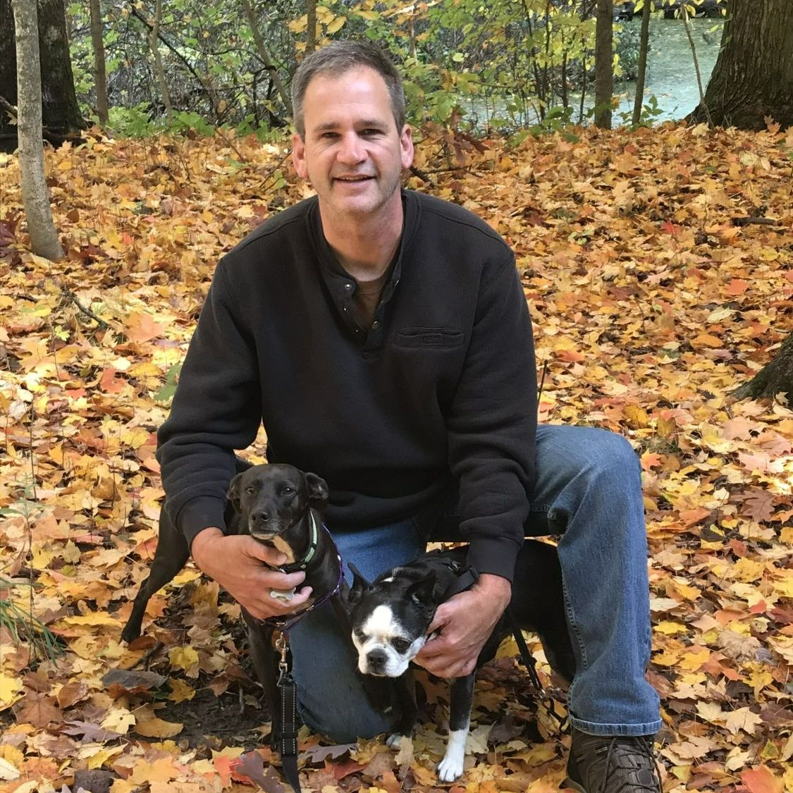 Our Team Cottonwood Veterinary Clinic Jenison, MI